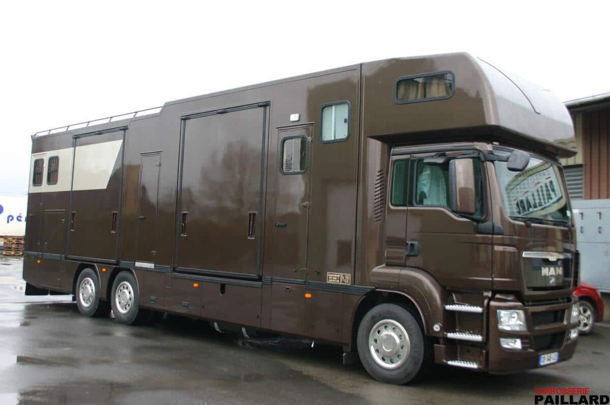 Camion chevaux poids lourd MAN 6×2 pour transporter 8 chevaux