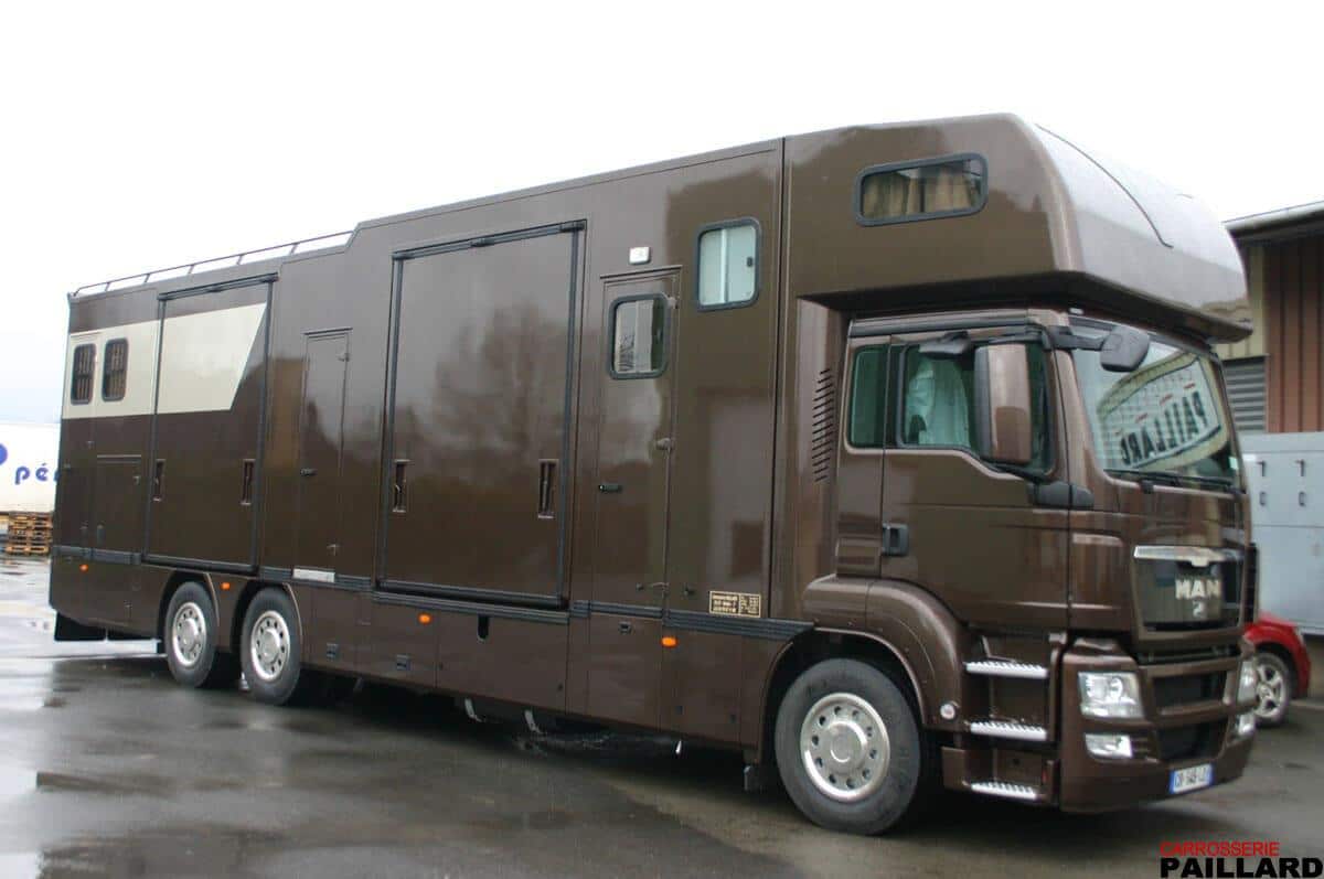 camion chevaux pl occasion